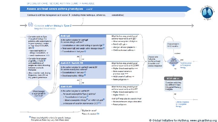 © Global Initiative for Asthma, www. ginasthma. org 