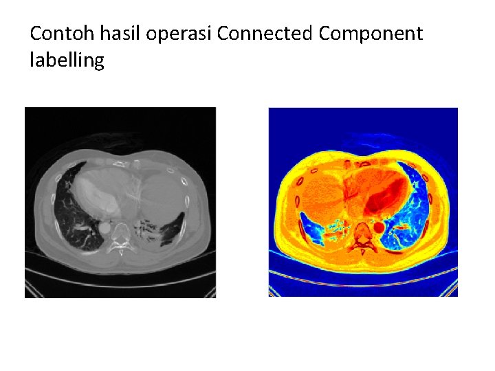 Contoh hasil operasi Connected Component labelling 