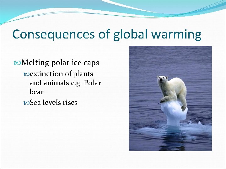 Consequences of global warming Melting polar ice caps extinction of plants and animals e.