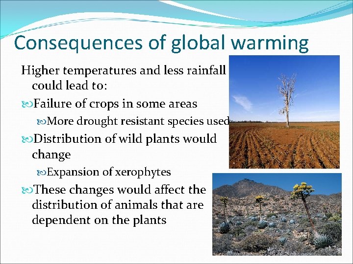 Consequences of global warming Higher temperatures and less rainfall could lead to: Failure of