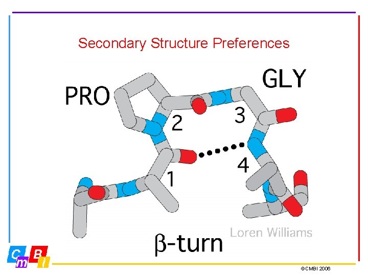 Secondary Structure Preferences ©CMBI 2006 