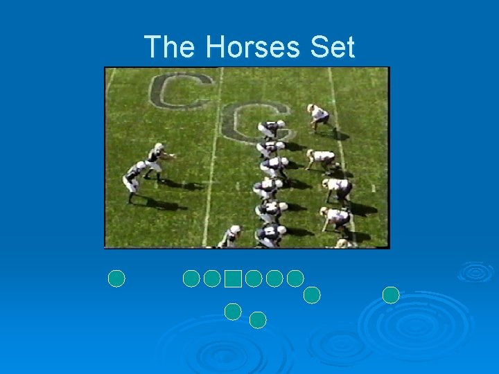 The Horses Set 