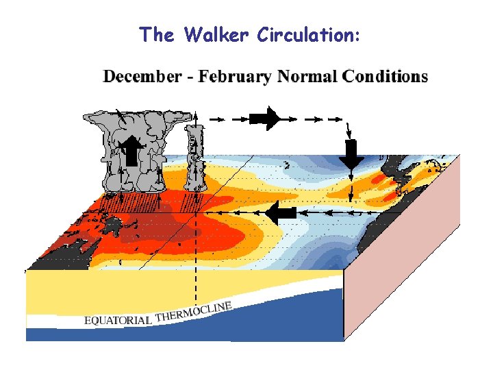 The Walker Circulation: Climate and Energy EART 30362 lecture 8 B-9 