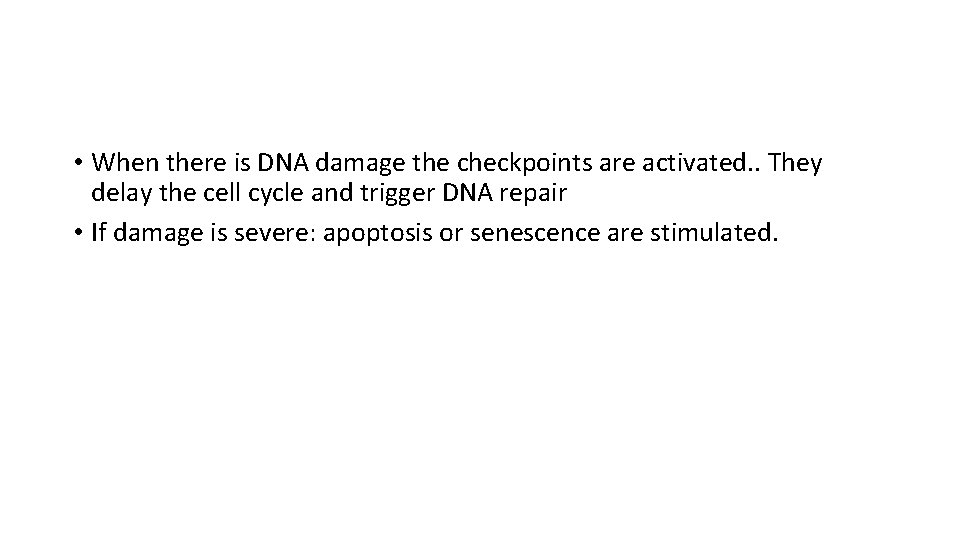  • When there is DNA damage the checkpoints are activated. . They delay