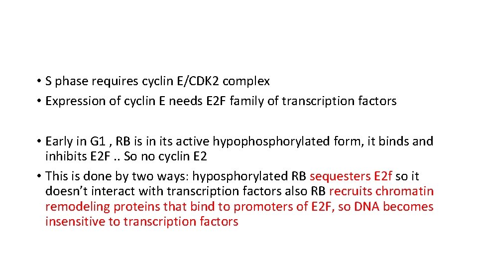  • S phase requires cyclin E/CDK 2 complex • Expression of cyclin E