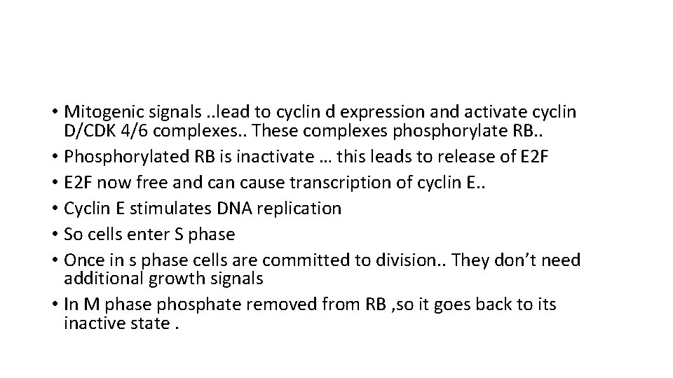  • Mitogenic signals. . lead to cyclin d expression and activate cyclin D/CDK
