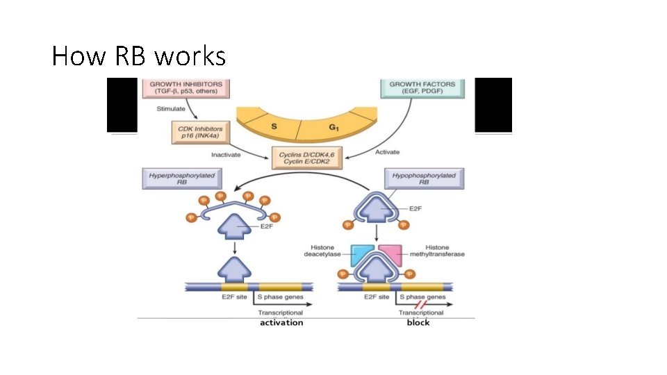 How RB works 