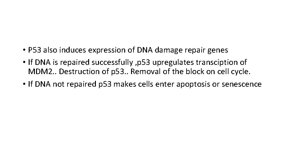  • P 53 also induces expression of DNA damage repair genes • If