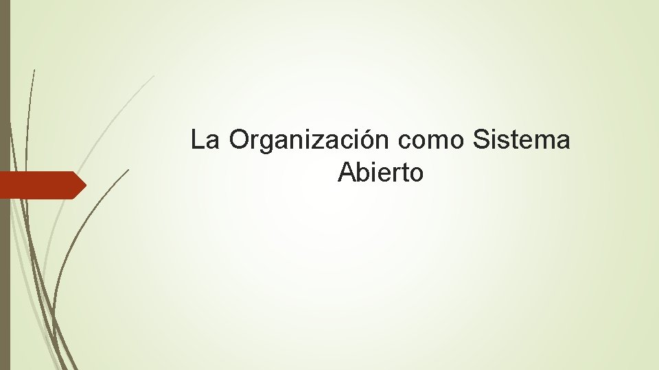 La Organización como Sistema Abierto 