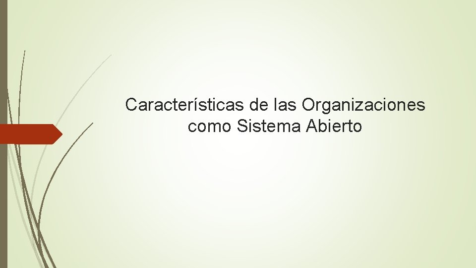 Características de las Organizaciones como Sistema Abierto 
