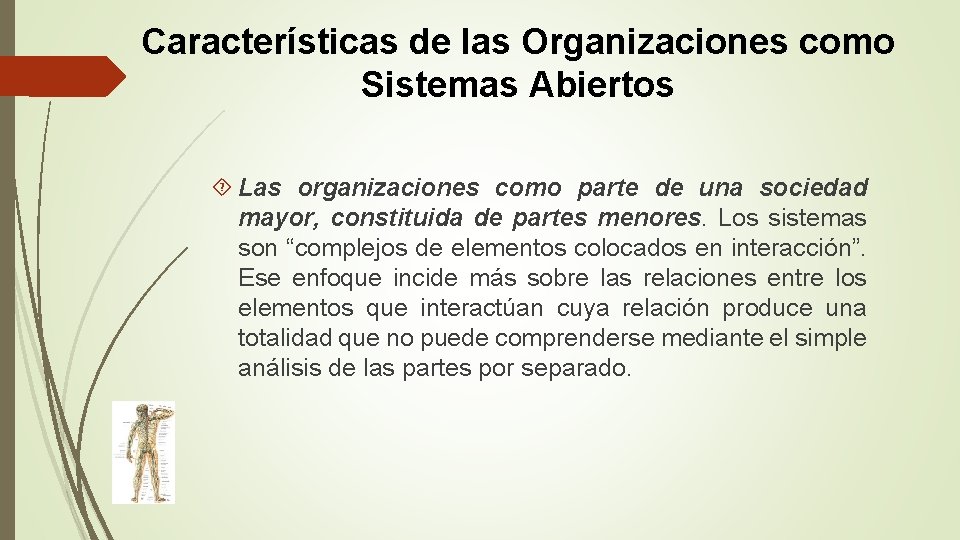 Características de las Organizaciones como Sistemas Abiertos Las organizaciones como parte de una sociedad