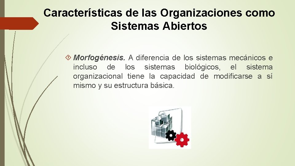 Características de las Organizaciones como Sistemas Abiertos Morfogénesis. A diferencia de los sistemas mecánicos