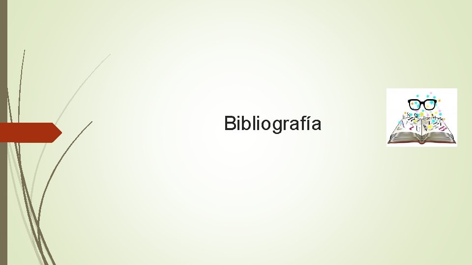 Bibliografía 