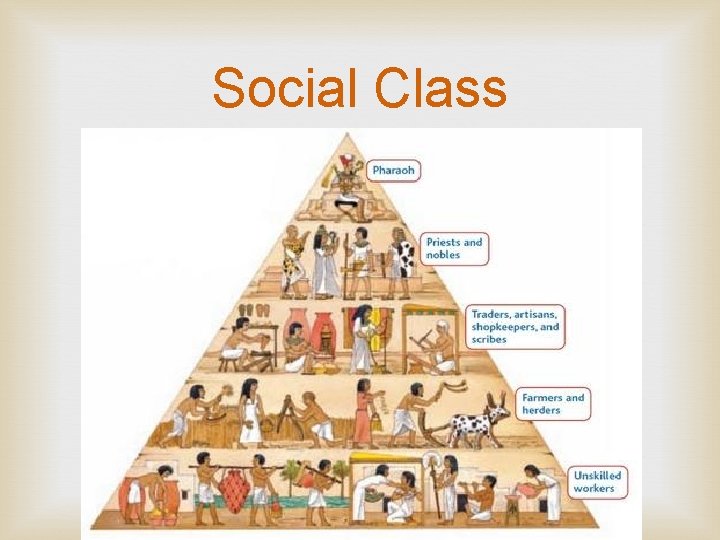 Social Class 