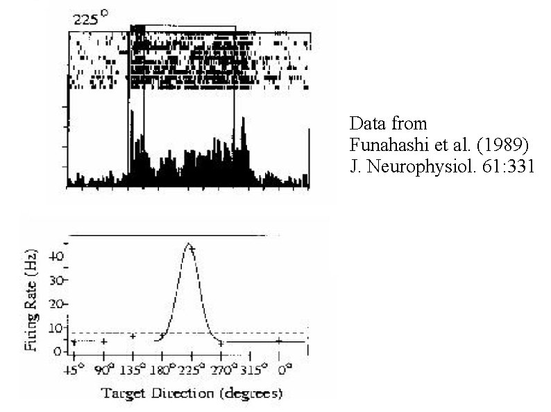 Data from Funahashi et al. (1989) J. Neurophysiol. 61: 331 