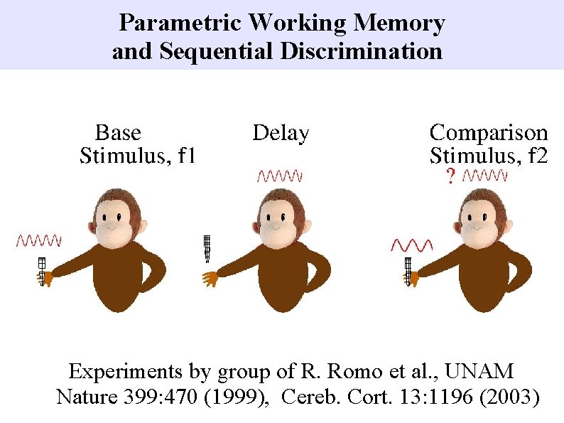 Parametric Working Memory and Sequential Discrimination Experiments by group of R. Romo et al.