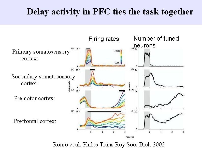 Delay activity in PFC ties the task together Firing rates Primary somatosensory cortex: Number