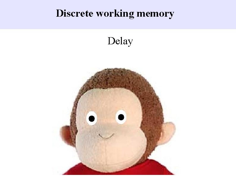 Discrete working memory Delay 