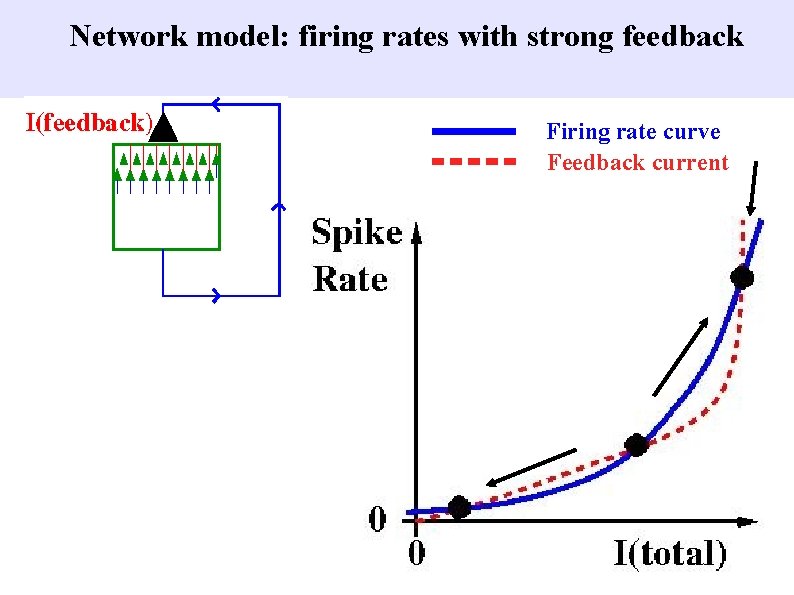 Network model: firing rates with strong feedback Firing rate curve Feedback current 