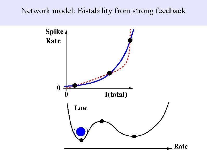 Network model: Bistability from strong feedback 