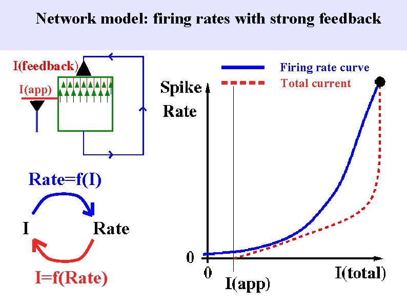 Network model: firing rates with strong feedback Firing rate curve Total current I(app) Rate=f(I)