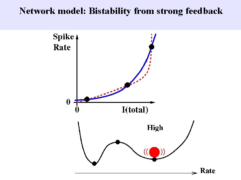 Network model: Bistability from strong feedback 