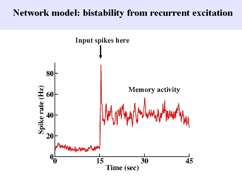 Network model: bistability from recurrent excitation Input spikes here Memory activity 