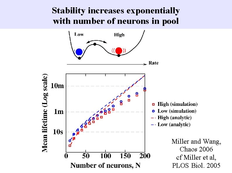 Stability increases exponentially with number of neurons in pool Miller and Wang, Chaos 2006