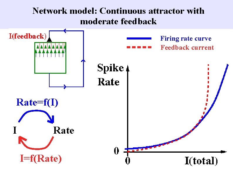 Network model: Continuous attractor with moderate feedback Firing rate curve Feedback current W Rate=f(I)