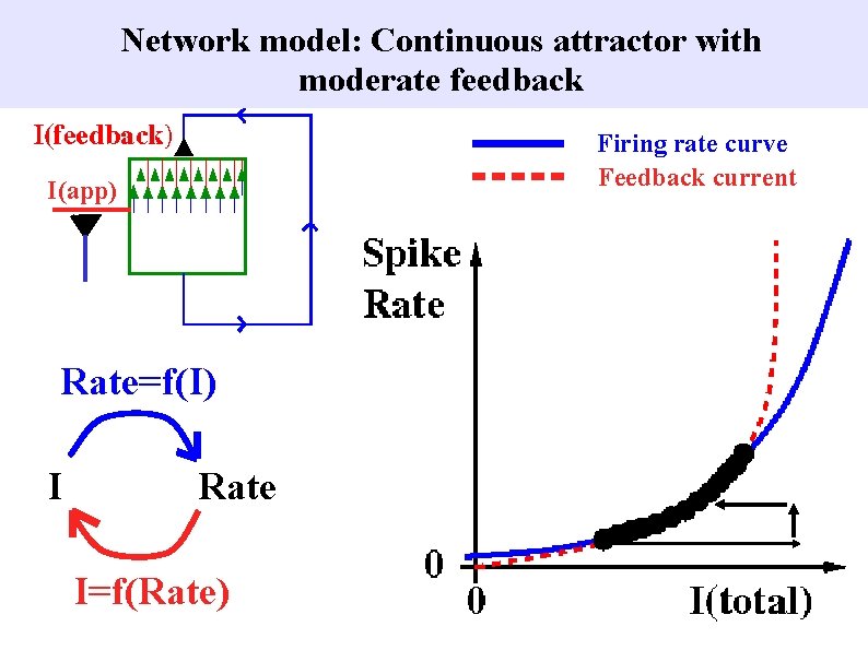 Network model: Continuous attractor with moderate feedback Firing rate curve Feedback current I(app) Rate=f(I)