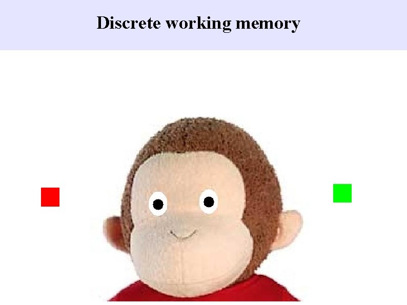 Discrete working memory 