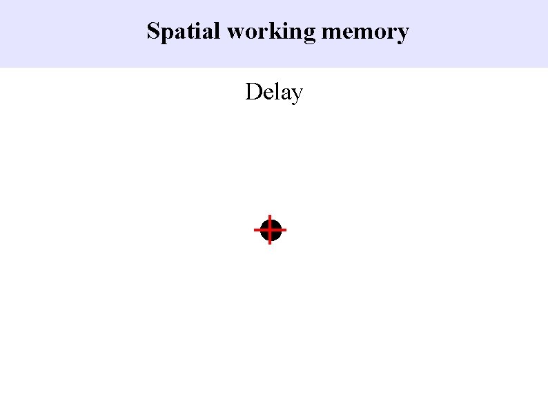 Spatial working memory Delay 