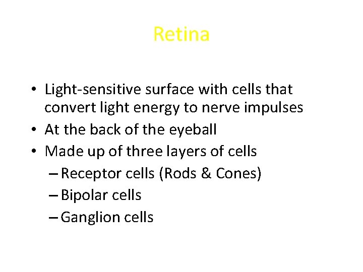 Retina • Light-sensitive surface with cells that convert light energy to nerve impulses •