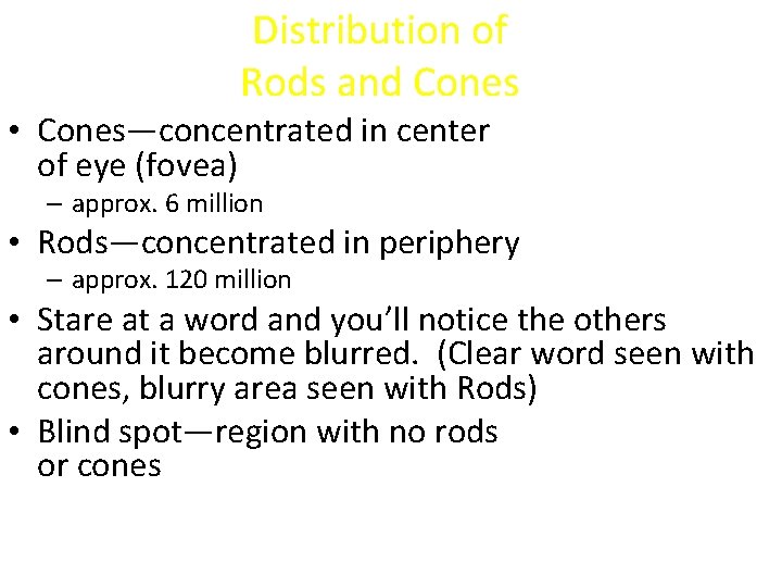 Distribution of Rods and Cones • Cones—concentrated in center of eye (fovea) – approx.