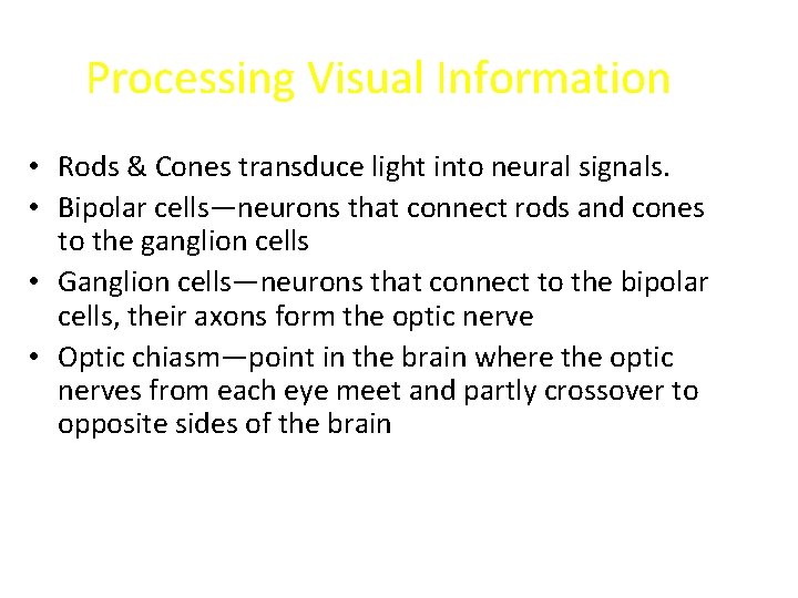 Processing Visual Information • Rods & Cones transduce light into neural signals. • Bipolar