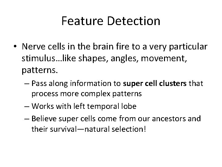 Feature Detection • Nerve cells in the brain fire to a very particular stimulus…like
