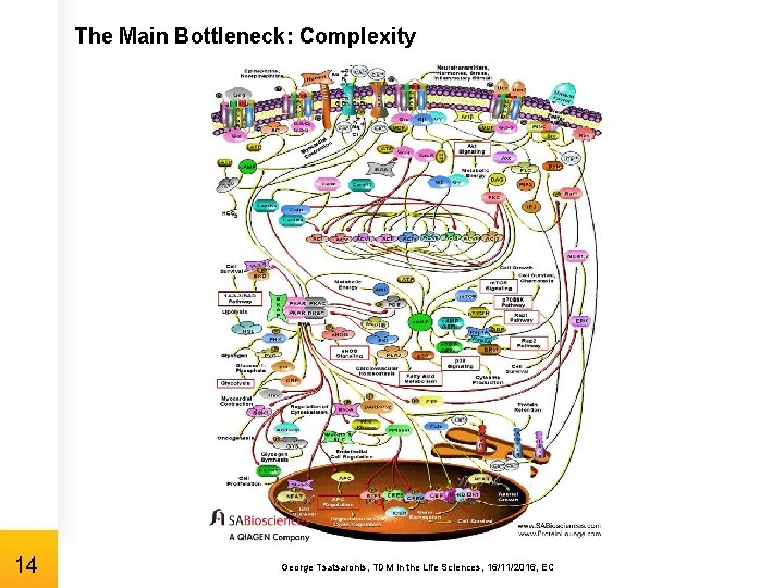 The Main Bottleneck: Complexity 14 George Tsatsaronis, TDM in the Life Sciences, 16/11/2016, EC