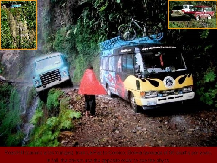 Road Kill (camino a los Yungas), from La Paz to Coroico, Bolivia (average of