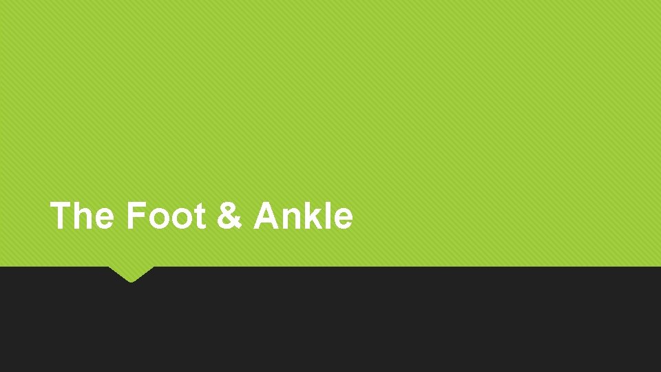 The Foot & Ankle 