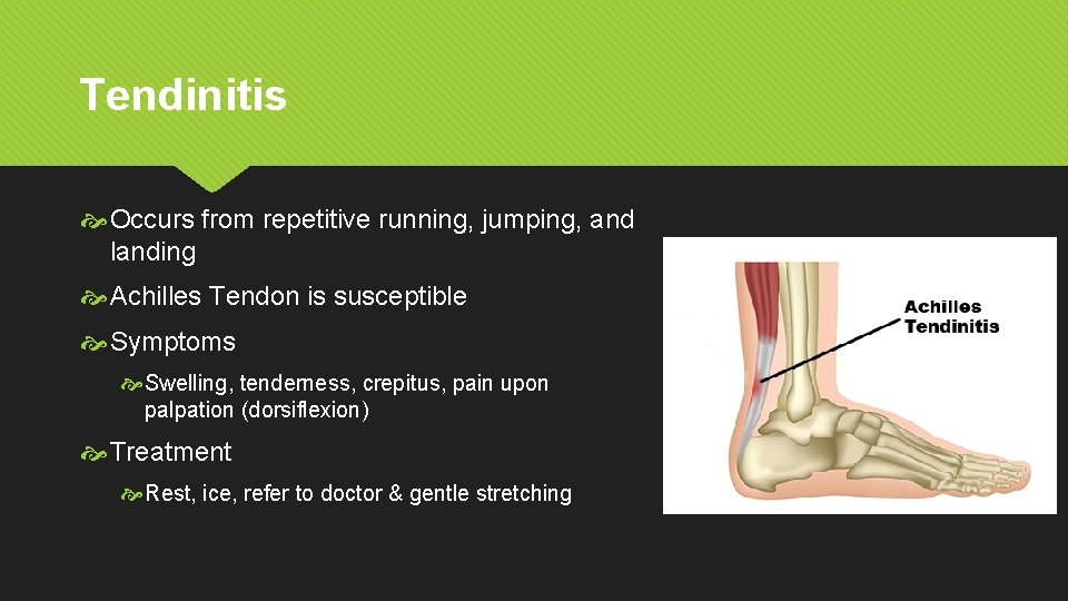 Tendinitis Occurs from repetitive running, jumping, and landing Achilles Tendon is susceptible Symptoms Swelling,