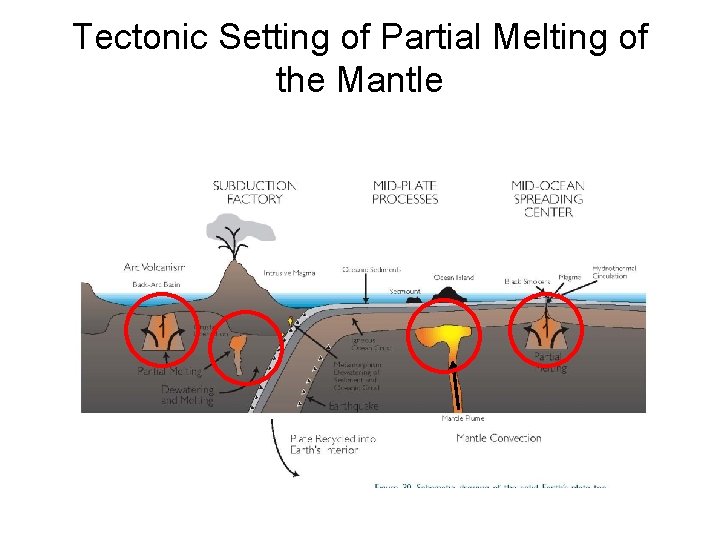 Tectonic Setting of Partial Melting of the Mantle 