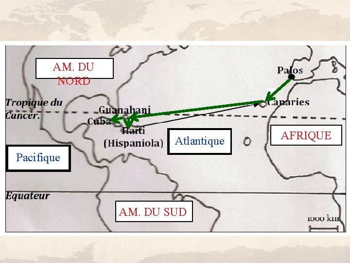 AM. DU NORD Atlantique Pacifique AM. DU SUD AFRIQUE 