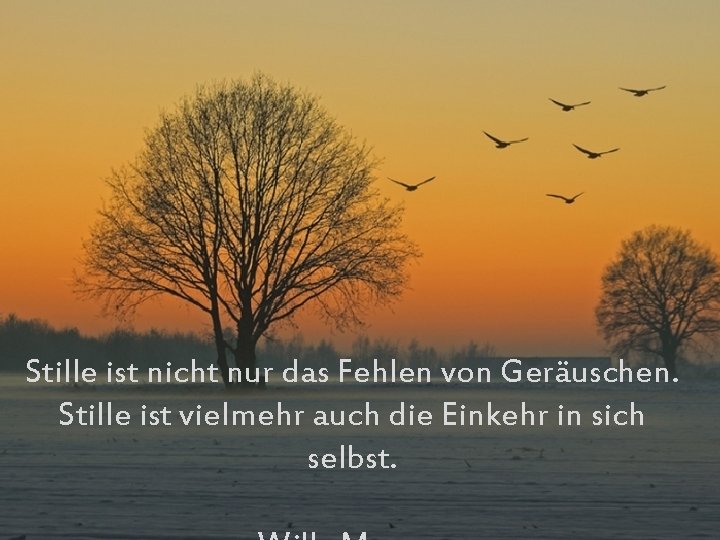 Stille ist nicht nur das Fehlen von Geräuschen. Stille ist vielmehr auch die Einkehr