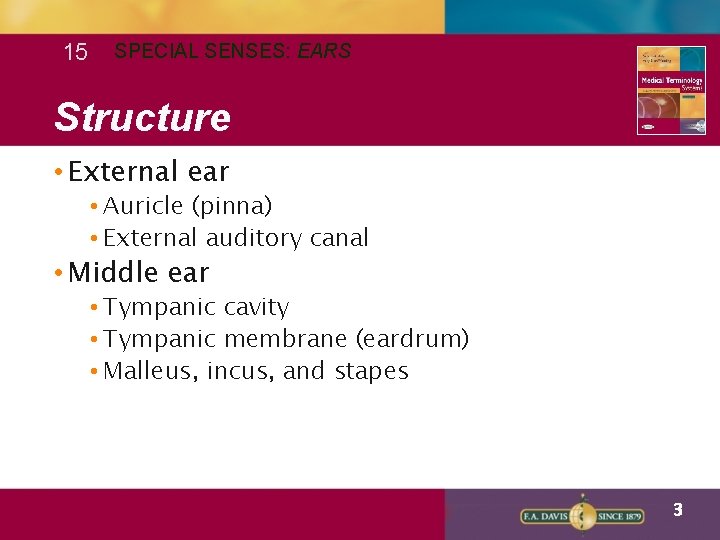 15 SPECIAL SENSES: EARS Structure • External ear • Auricle (pinna) • External auditory