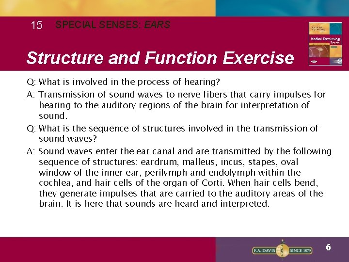 15 SPECIAL SENSES: EARS Structure and Function Exercise Q: What is involved in the
