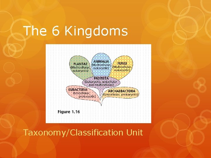 The 6 Kingdoms Taxonomy/Classification Unit 