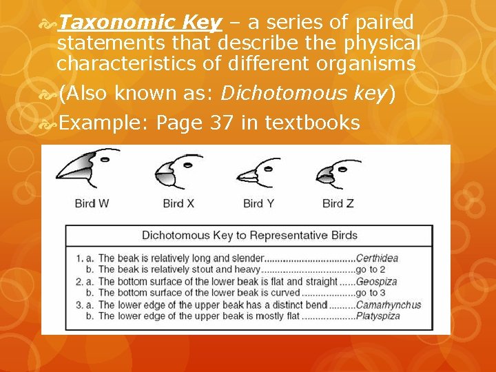  Taxonomic Key – a series of paired statements that describe the physical characteristics