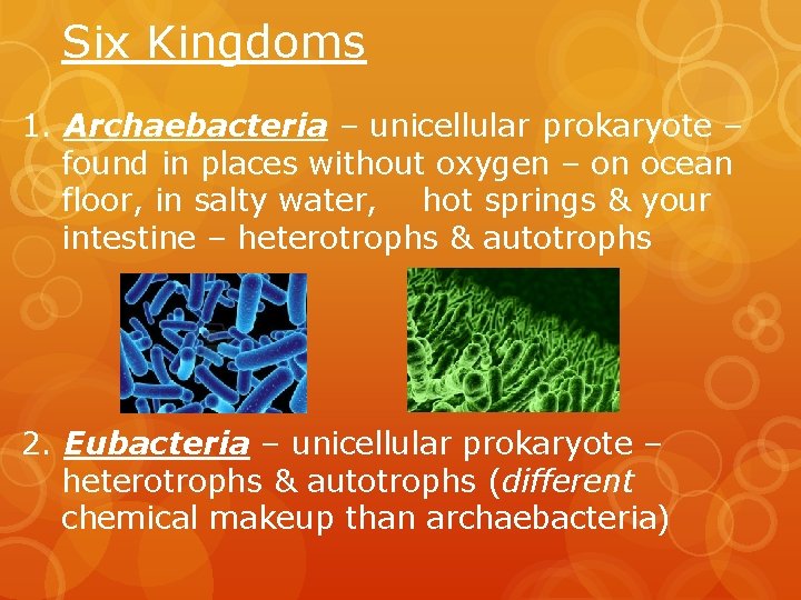 Six Kingdoms 1. Archaebacteria – unicellular prokaryote – found in places without oxygen –
