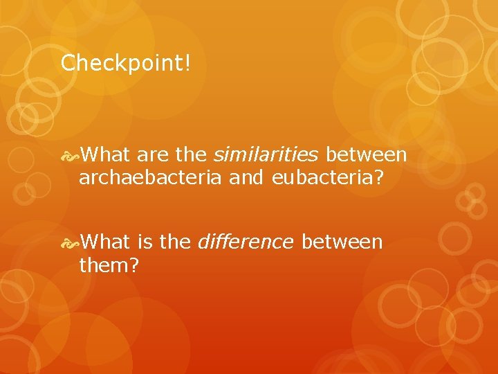 Checkpoint! What are the similarities between archaebacteria and eubacteria? What is the difference between