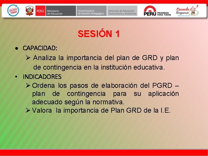 SESIÓN 1 CAPACIDAD: Ø Analiza la importancia del plan de GRD y plan de